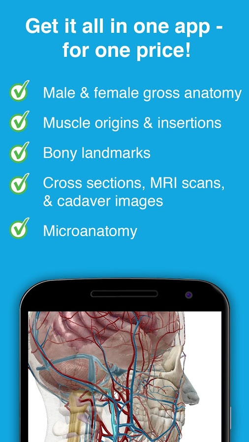 3d human anatomy free download